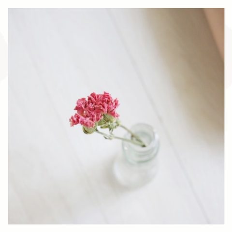 しかく